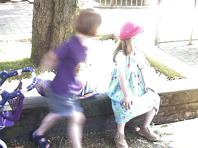 WBC_2001